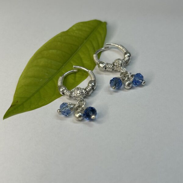 Shimmering Silver Toe Ring