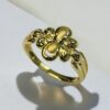 Golden Trellis Ring